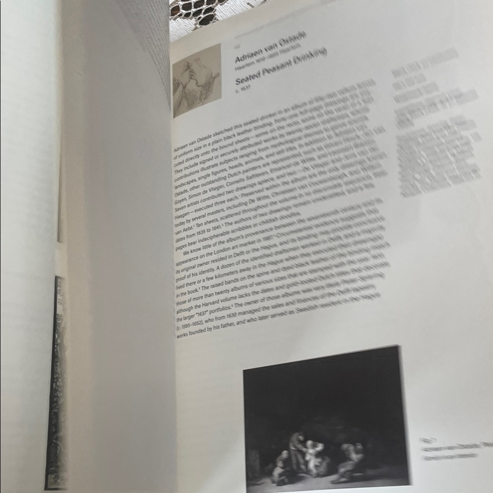 Hardcover- Drawings from the Age of Bruegel, Rubens, and Rembrandt Heavy New - Picture 6 of 14